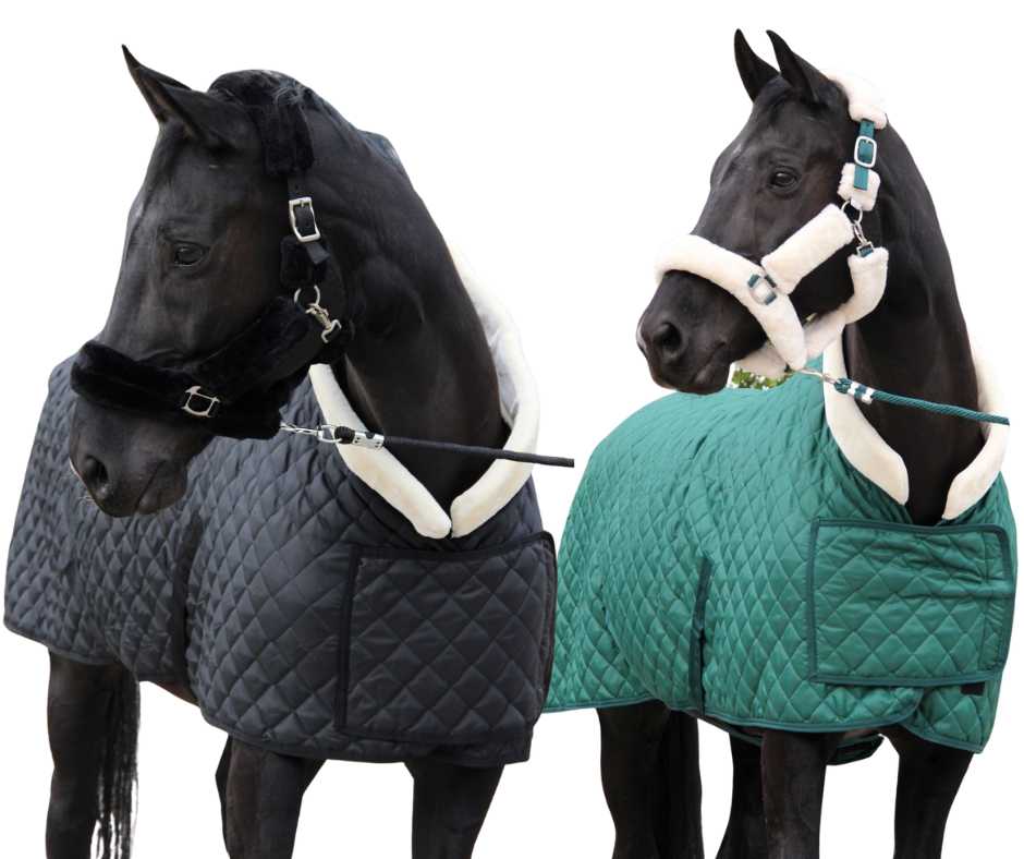 Showtime Desir horse rug