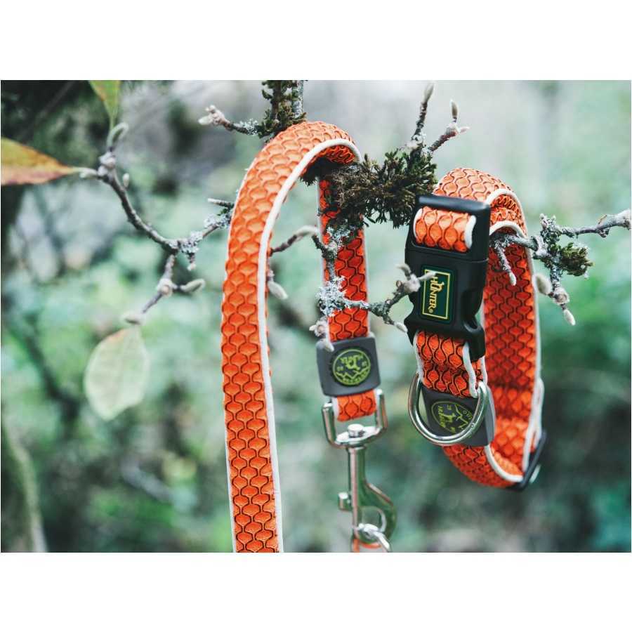 Hilo Vario Basic dog collar orange