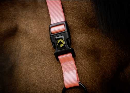 Monza Headcollar, halter