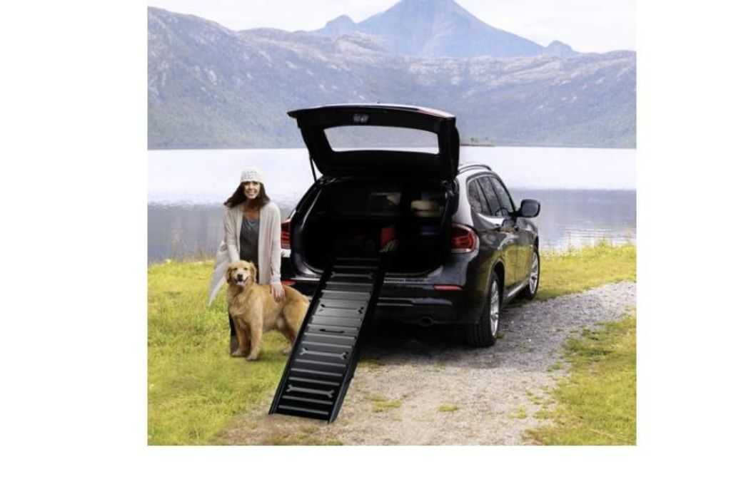 Folding ramp for dogs
