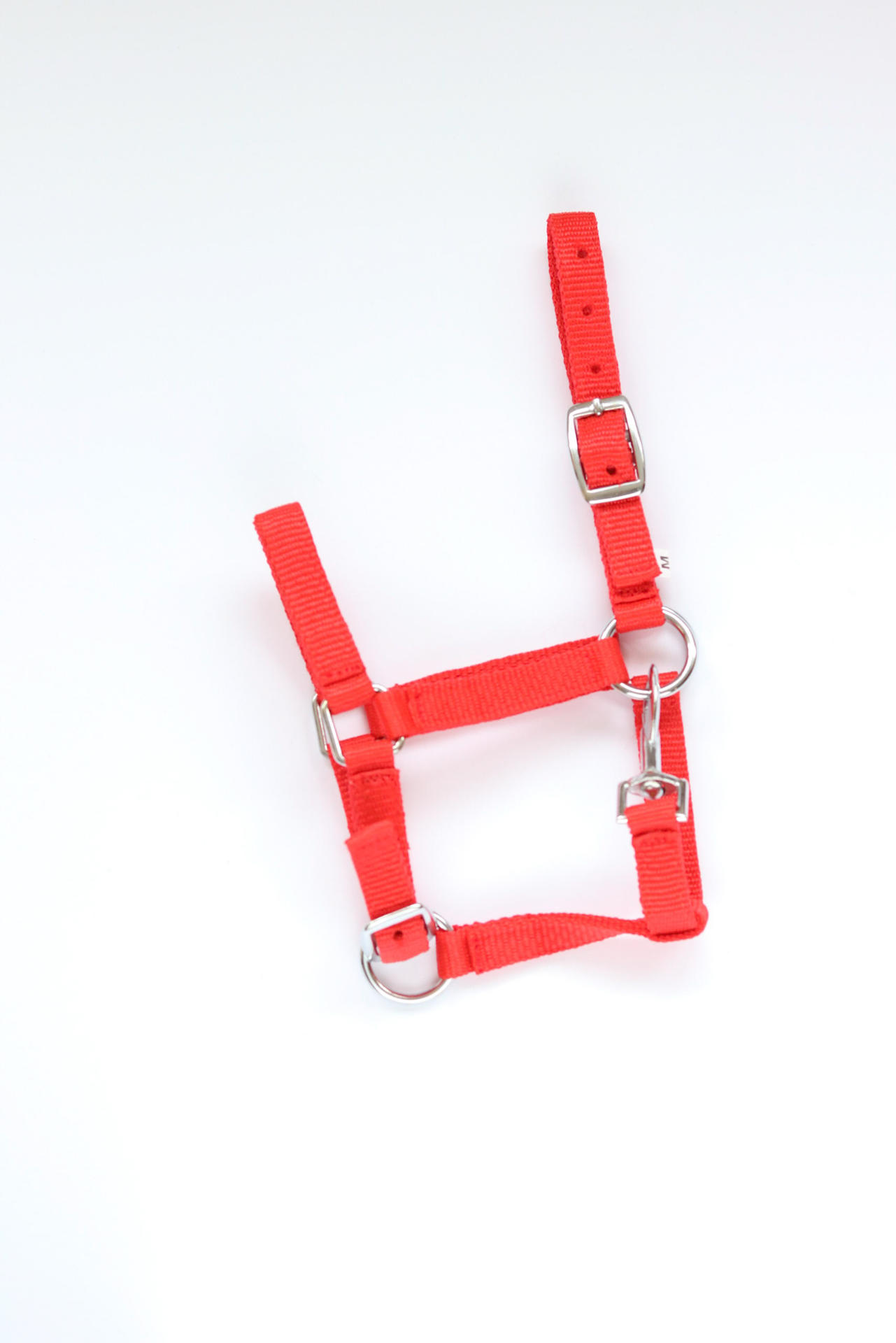 Astrid foal headcollar