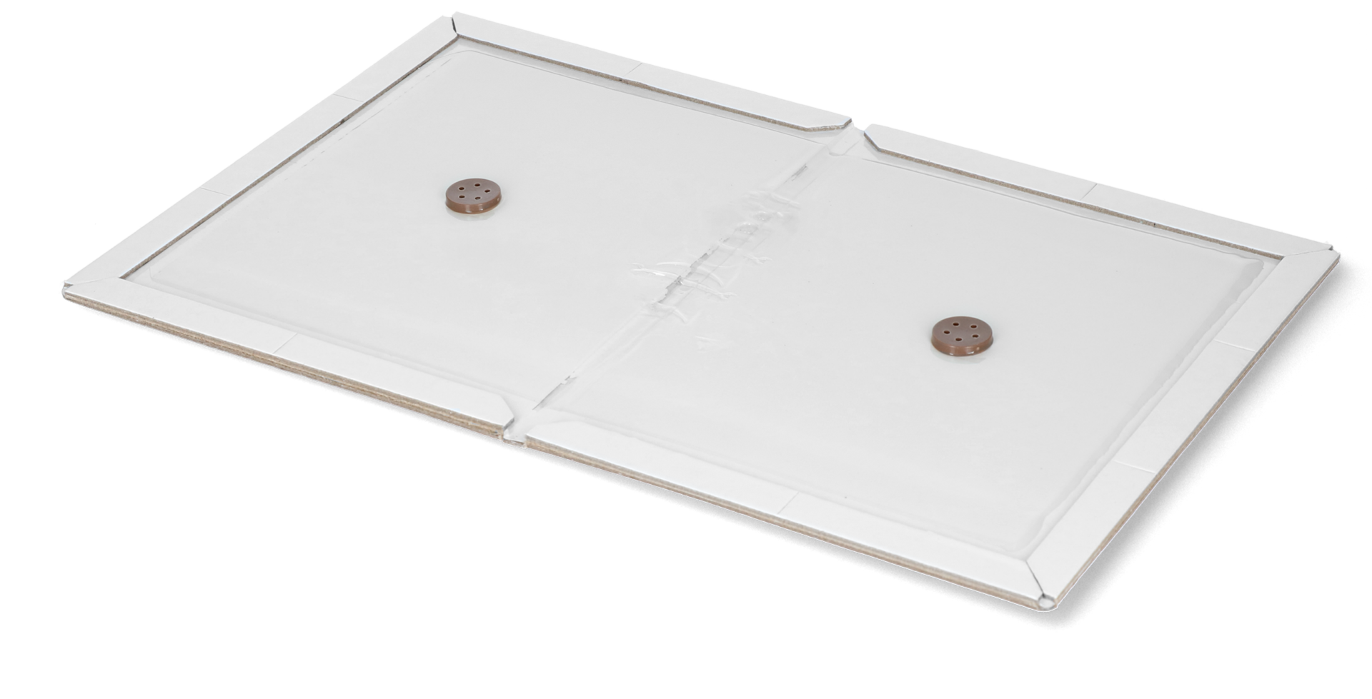 insect glue plate white