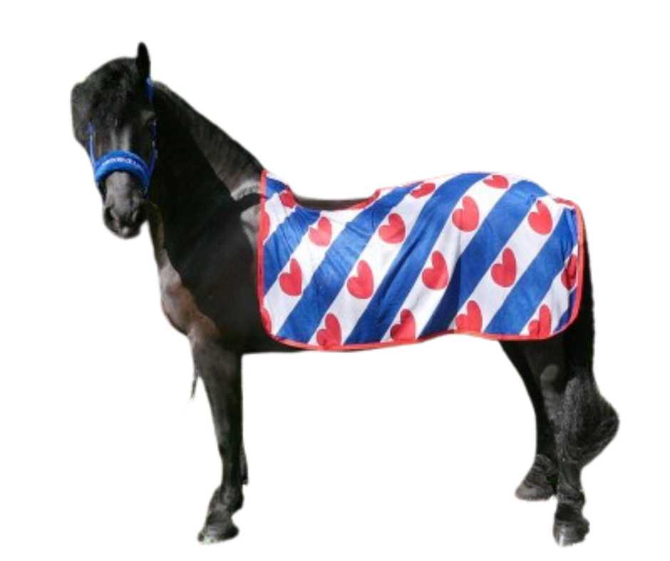 Adino Fly rug