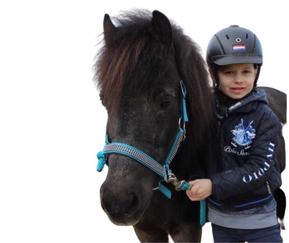 Volla Headcollar,  halter