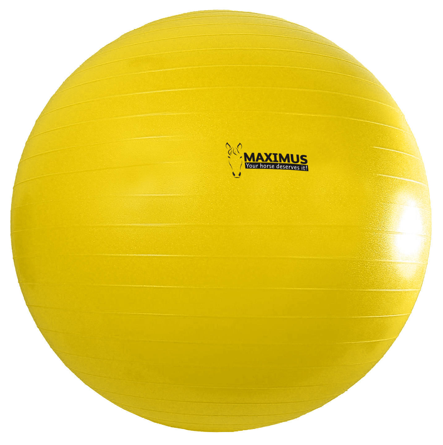 Power Play horse ball 100cm