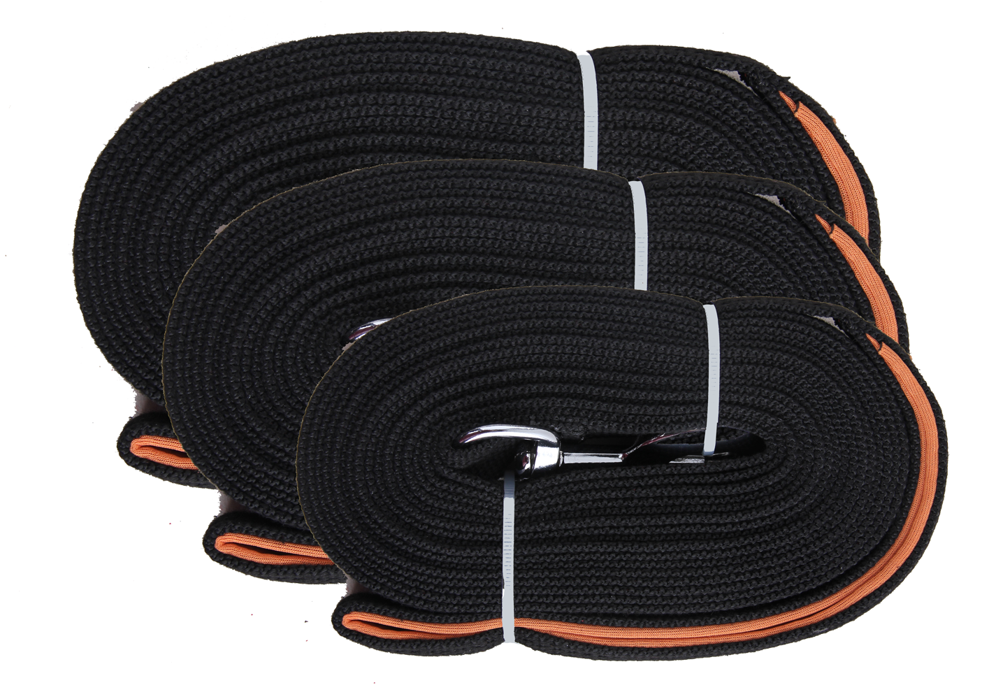 Training leash 5 metres