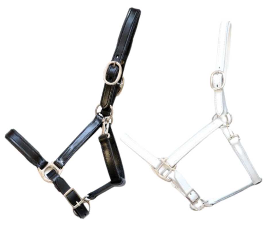 Siena lined foal headcollar, halter