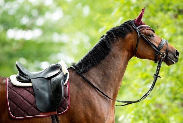 Cindy Dressage saddle pads