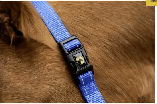 Monza Headcollar, halter