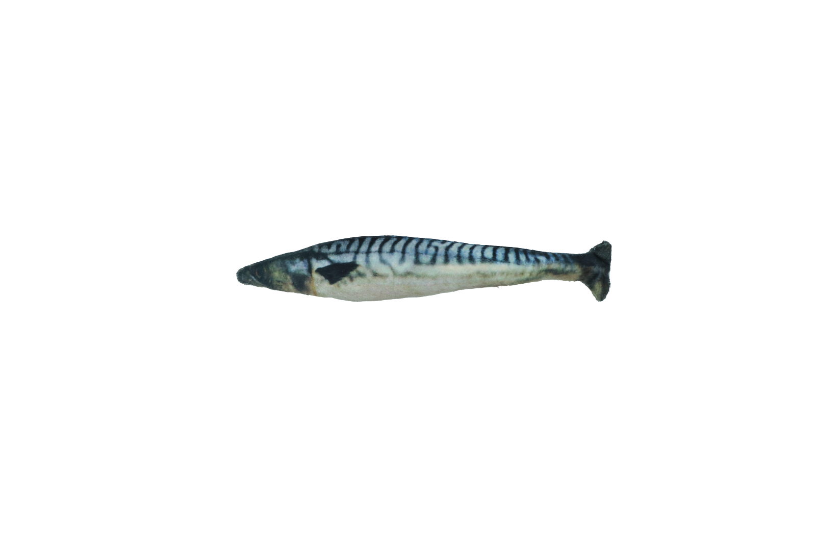 Fully hooked mackerel S 20cm cat toy