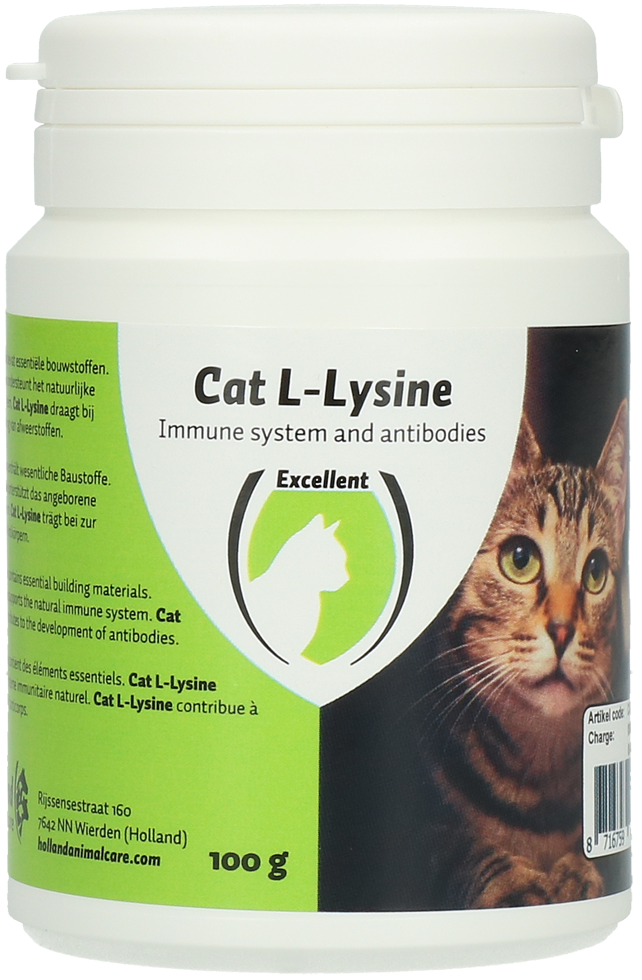 L-lysine, cat multivitamin and food supplement, health