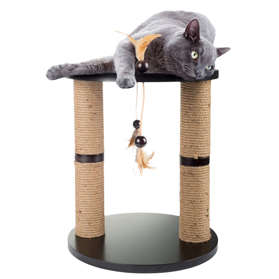 Classic Comfort scratching stand cat bed, punching ball scratching perch, cat furniture