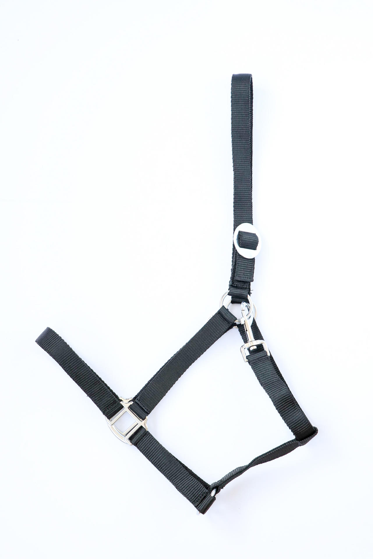 Apollo Nylon headcollar