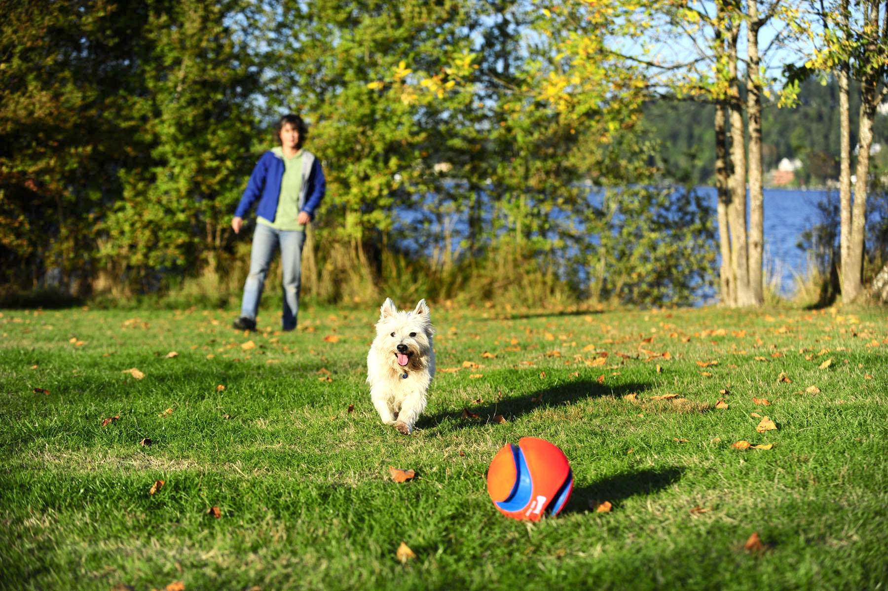 Kick Fetch 19 cm dog ball