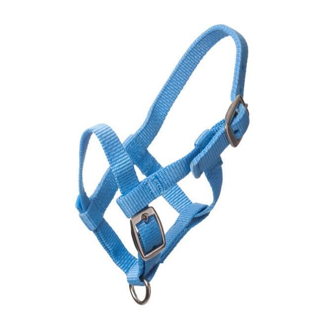 Adria Nylon headcollar