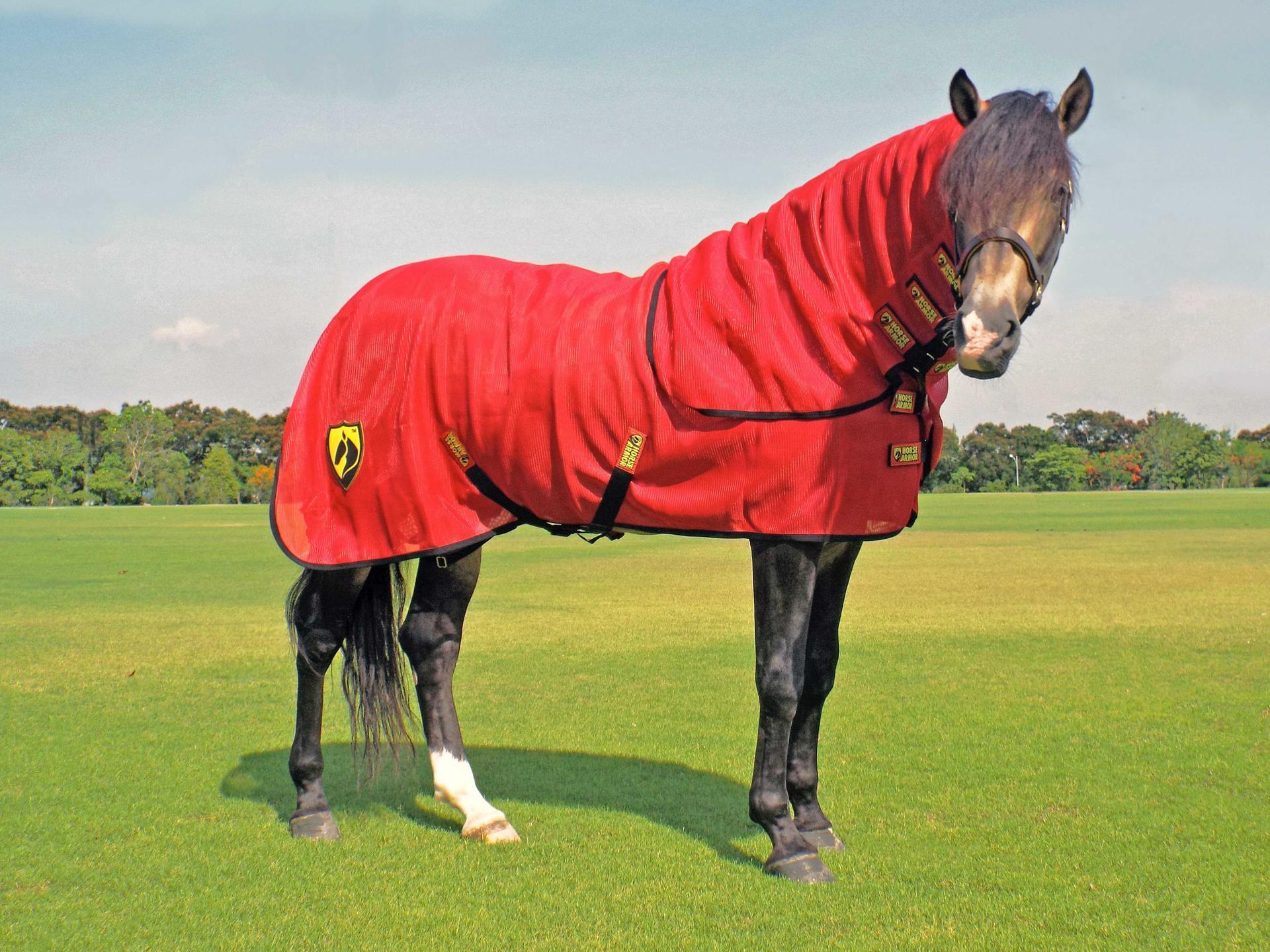 Porsche fly rug