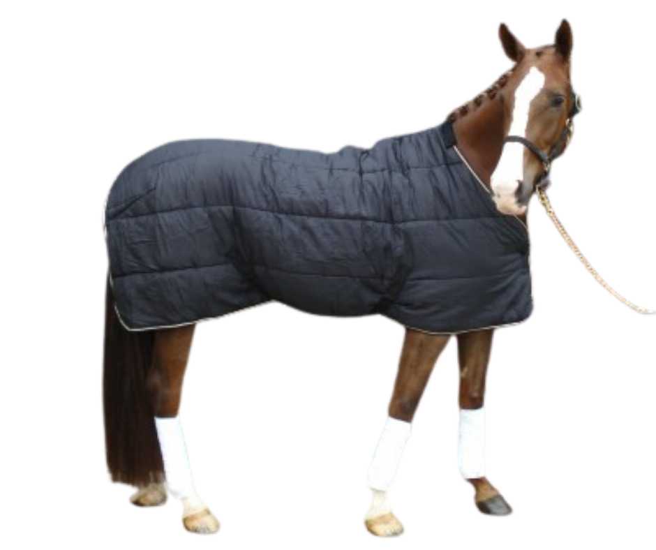 Novara horse rug