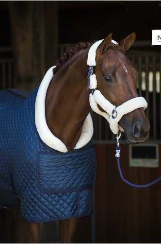 Showtime Desiro horse rug