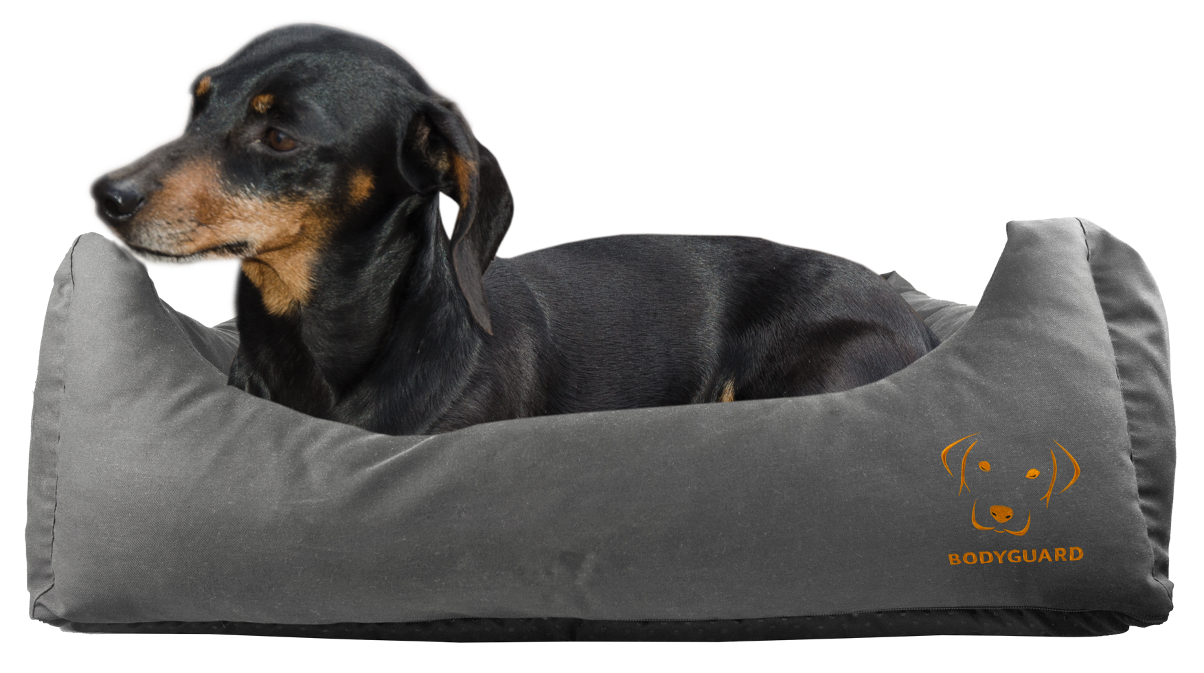 Bodyguard dog cap S grey