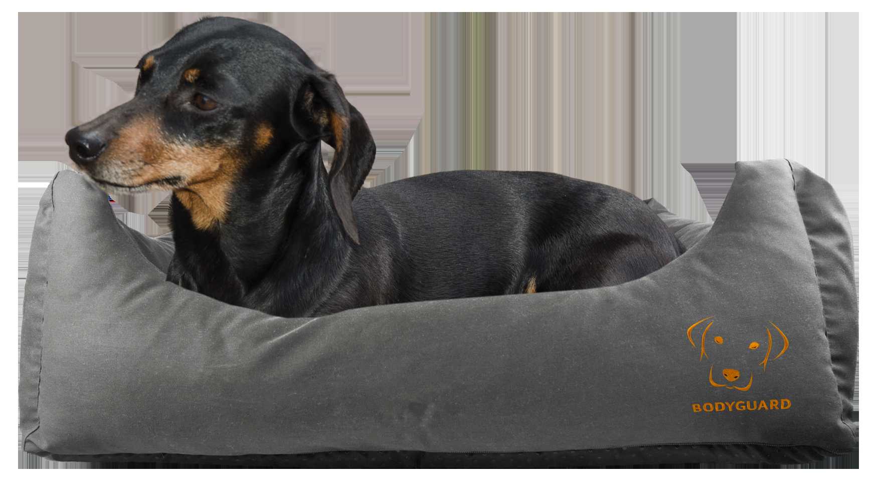 Bodyguard dog cap S grey