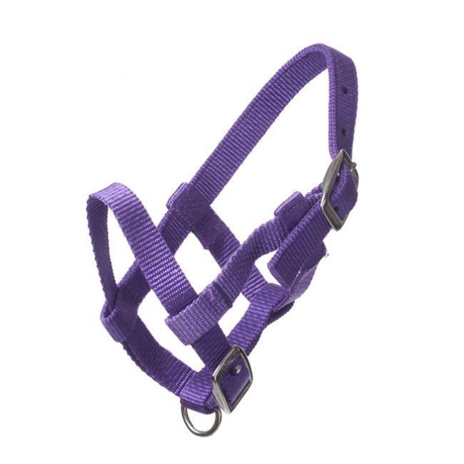 Adria Nylon headcollar