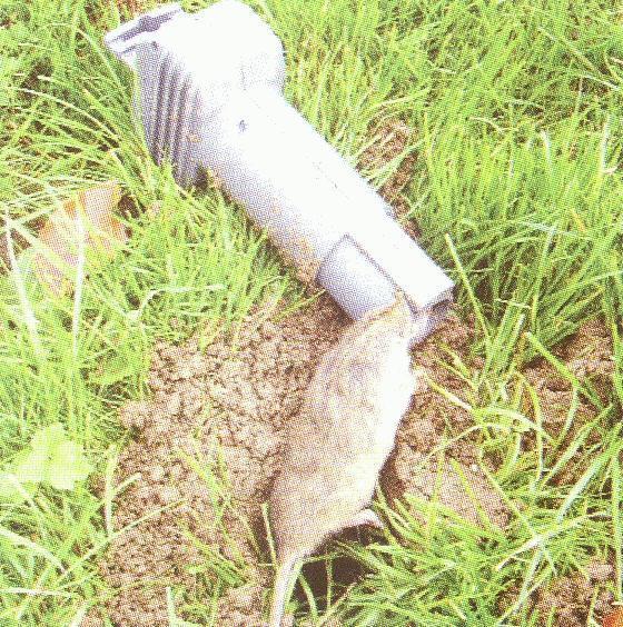 mole trap barn livestock pest control traps