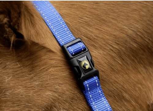 Monzo Headcollar, halter