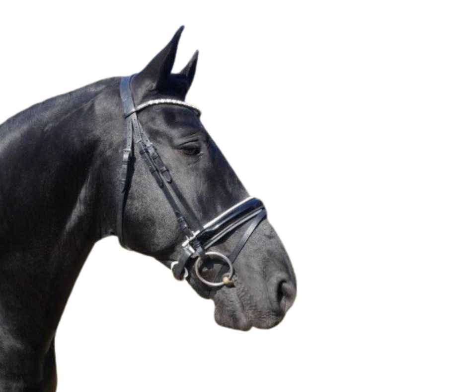 Showtime Vincent bridle