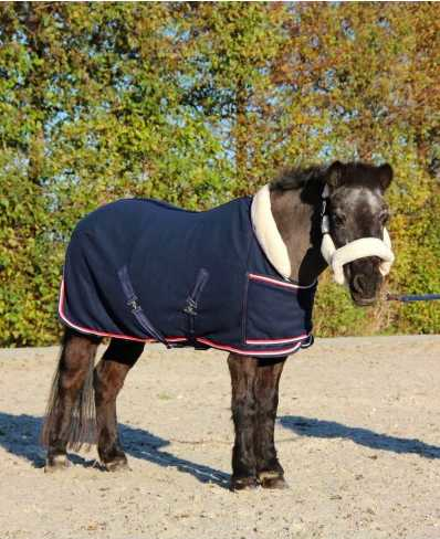 Showtime Harry and Hector horse rug