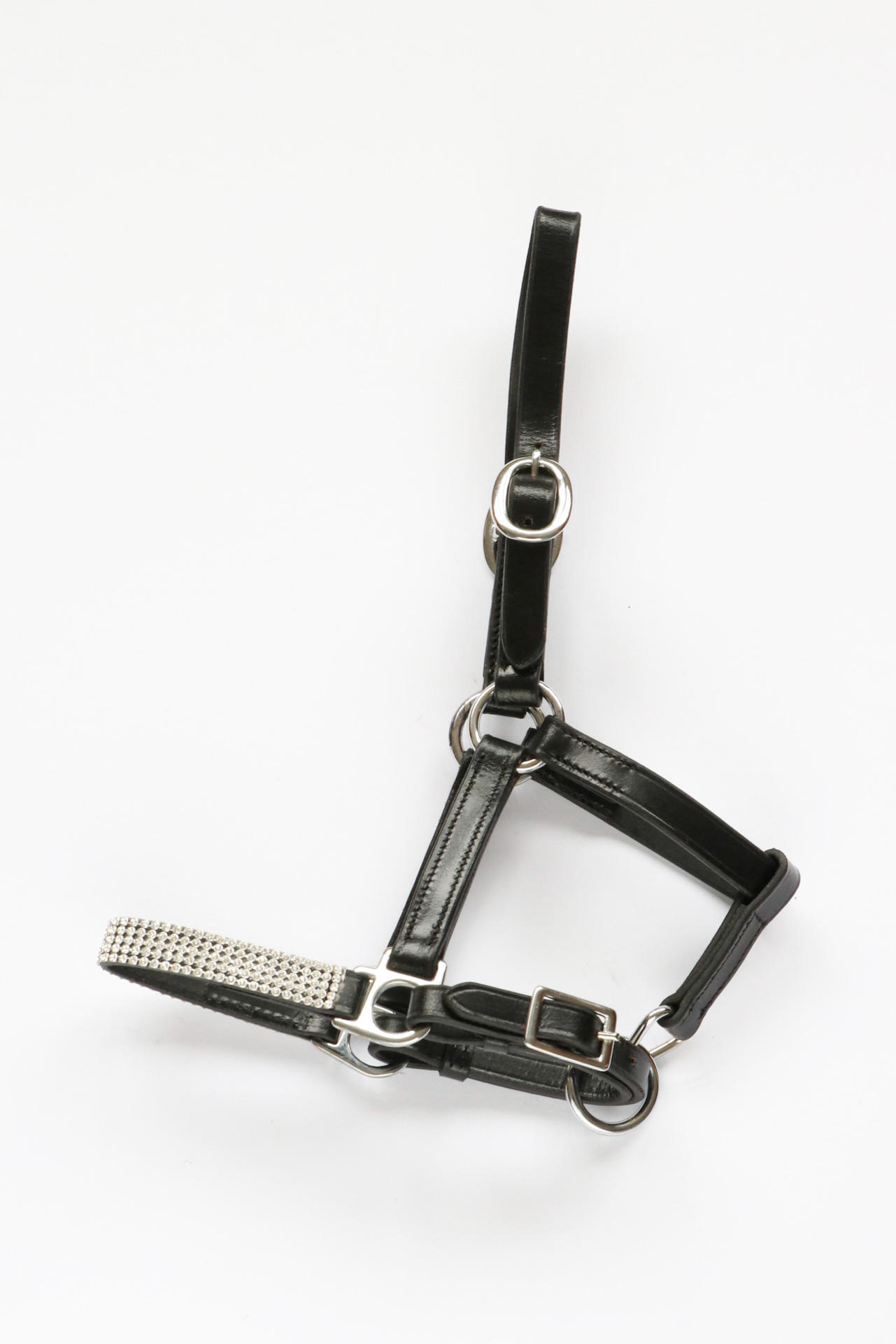 Ercano headcollar, halter for foal