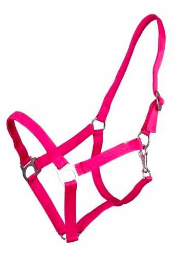 Apollo Nylon headcollar