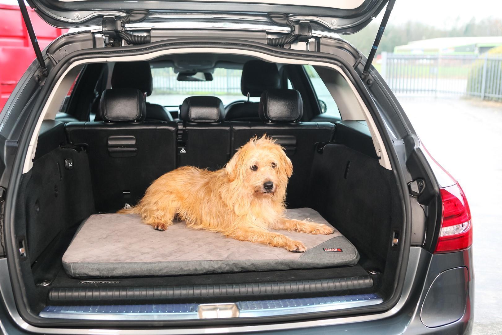 Car dog bed 91.5 x 60cm