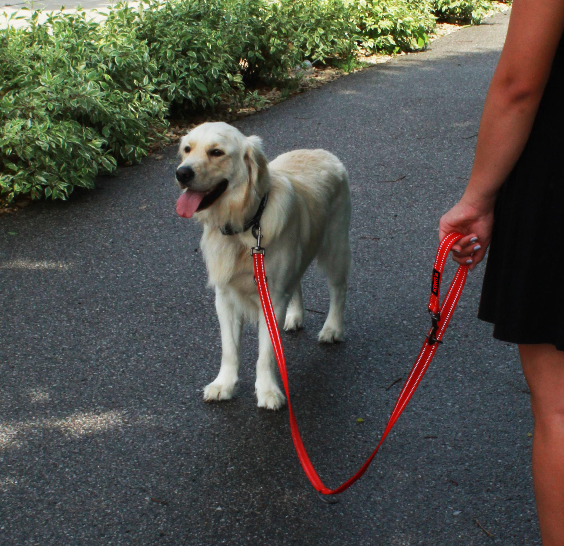 Adjustable base dog leash L Black