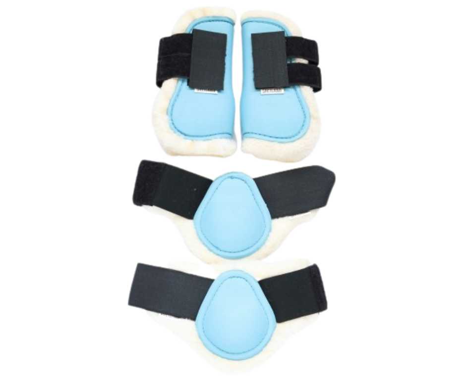 Dina tendon and fetlock boots set