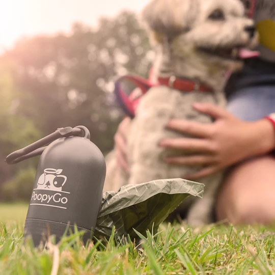 Package deal  dog feces bag