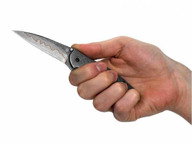 Leek 1660CBBW folding knife