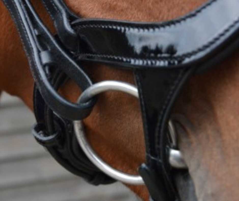 Freedom Shine bridle