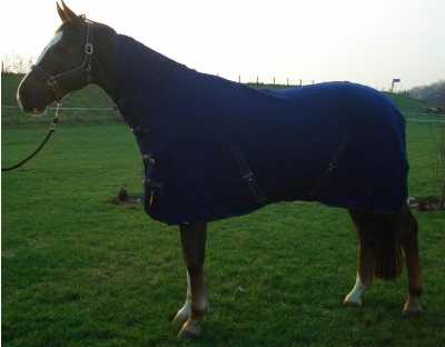 Helmond horse rug with neck