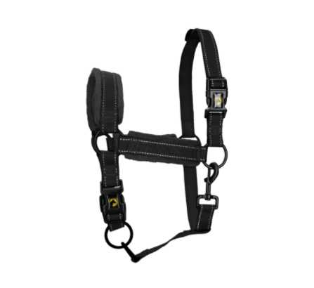 Monzo Headcollar, halter