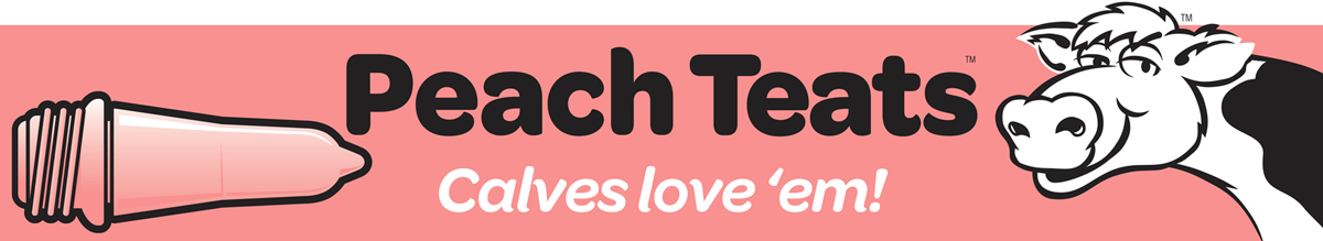 For calves bottle feeding, administration of medicine 2 l , cattle