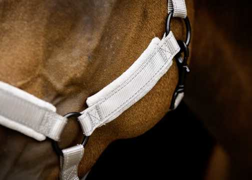Monzo Headcollar, halter
