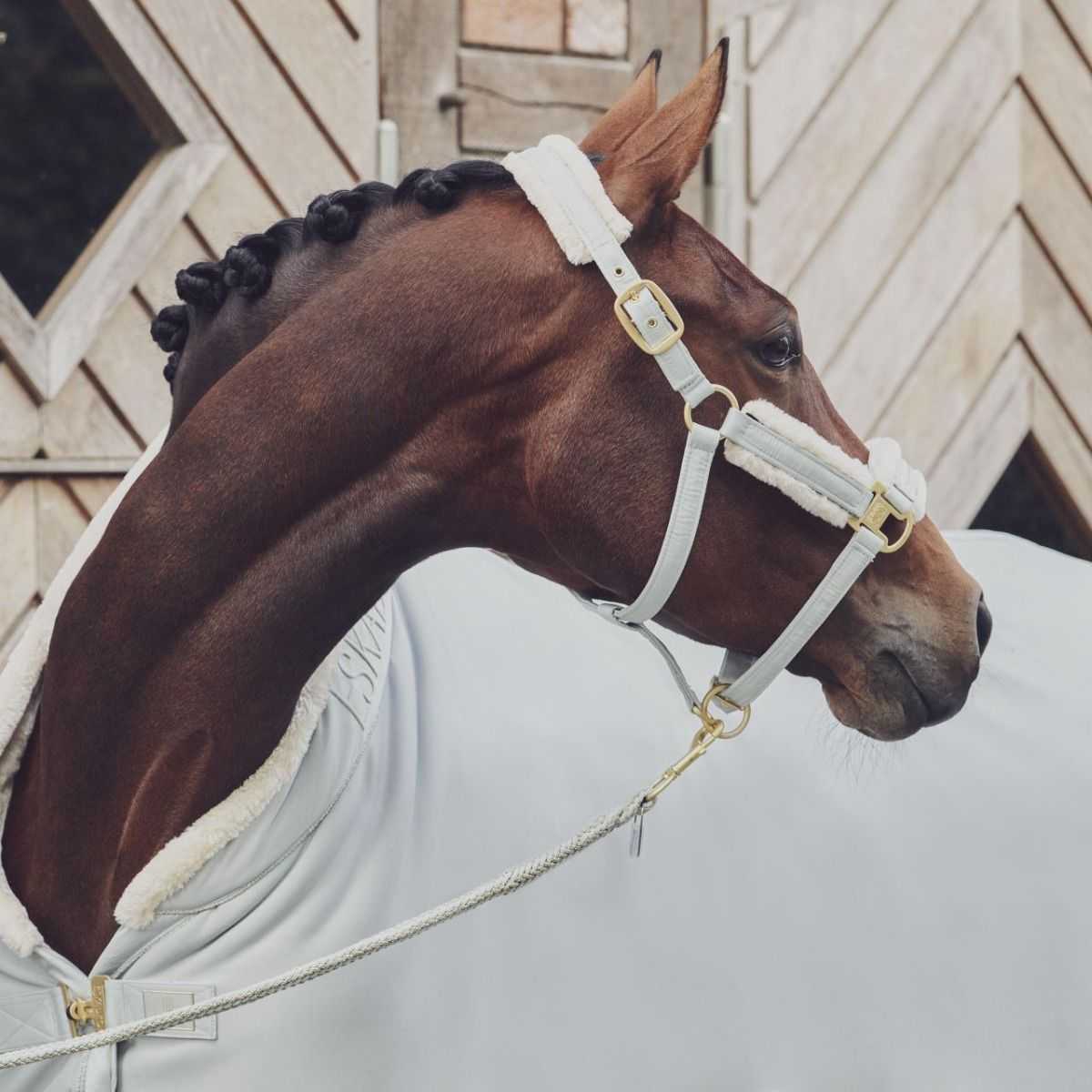 Headcollar, Halter Heritage collection