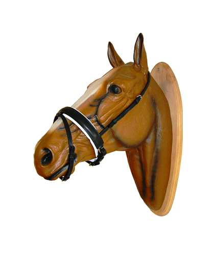 Extra wide combined noseband