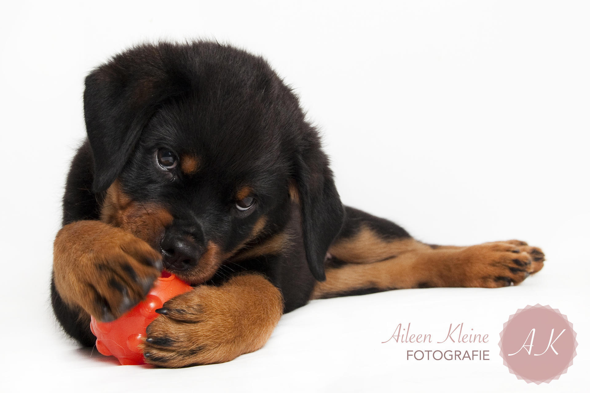 Jumper dog ball 7,5cm