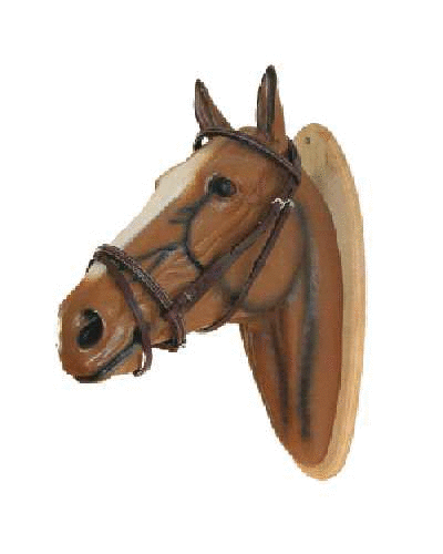 Paris bridle