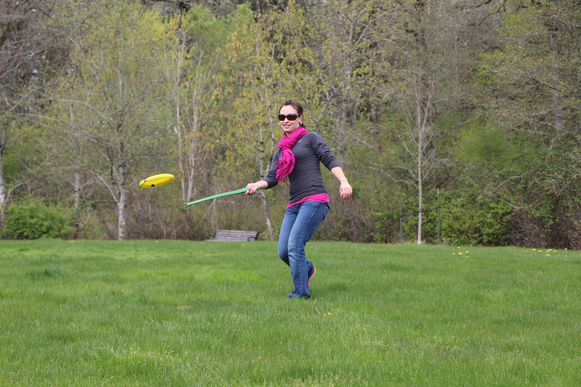 Yellow dog toy frisbee