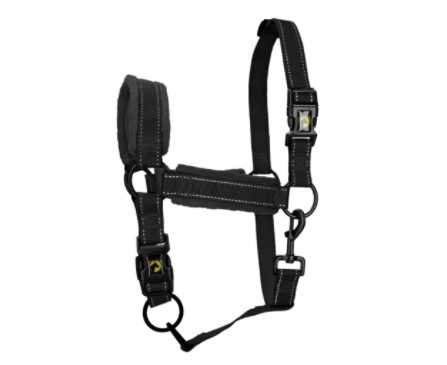 Monzo Headcollar, halter