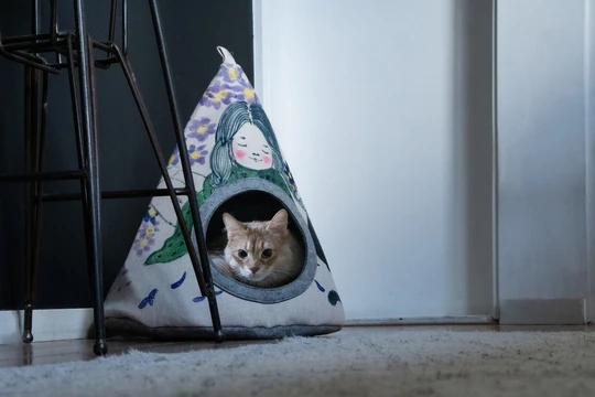 Blue flower pattern cat bed