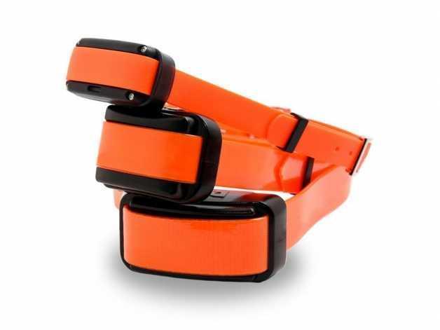 Electronic collar d control professional 2000 orange dog SMART electric training collar