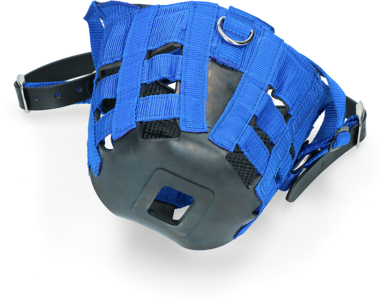 Horse grazing muzzle